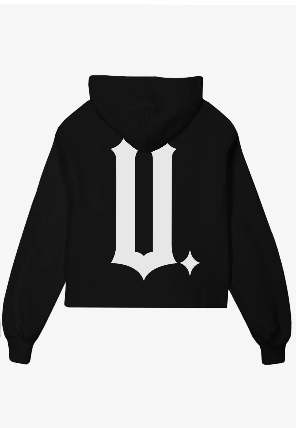 UNAPLGTIC DTLV THEME HOODIE